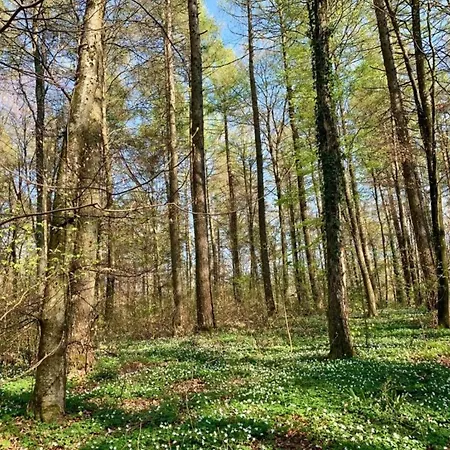 Villa In With Private Pool & Gardens *