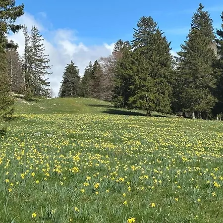 Villa In With Private Pool & Gardens Kypseli