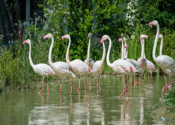 In With Private Pool & Gardens