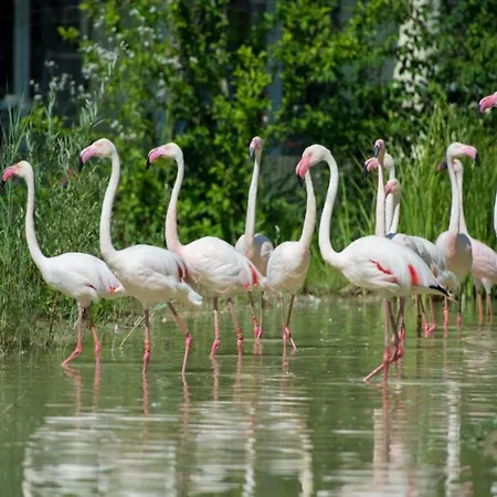 In With Private Pool & Gardens